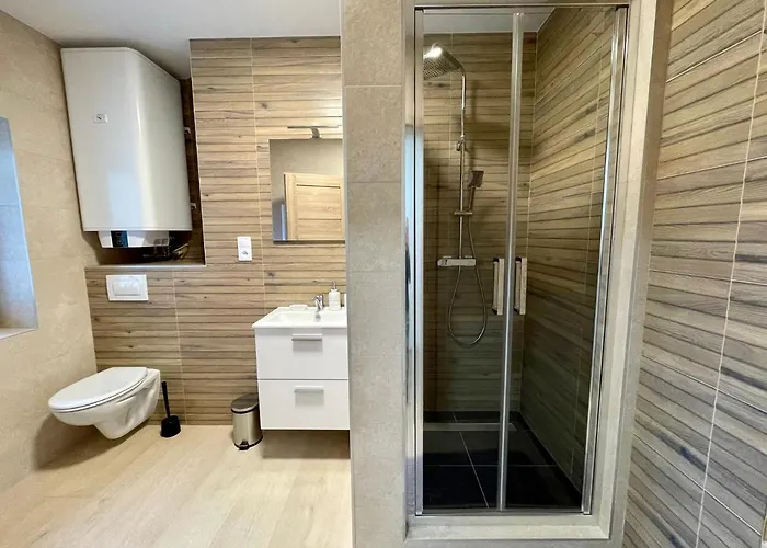 Apartmany Bechyne 아파트 *